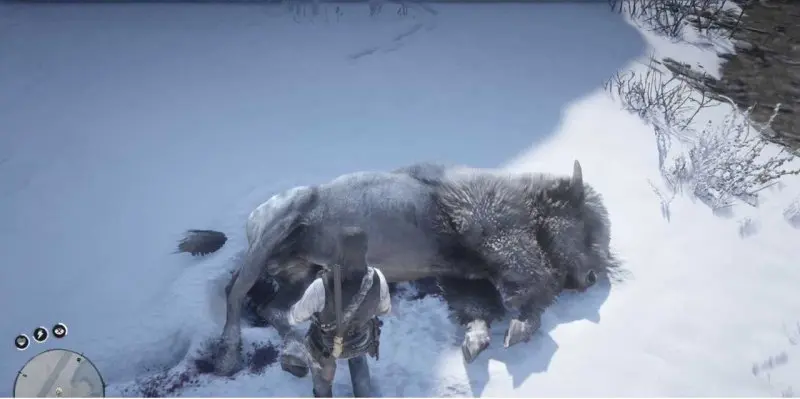 rdr2
