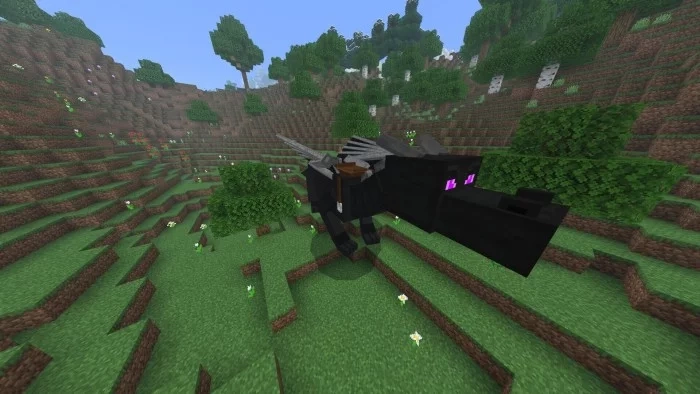 dragonmounts-15