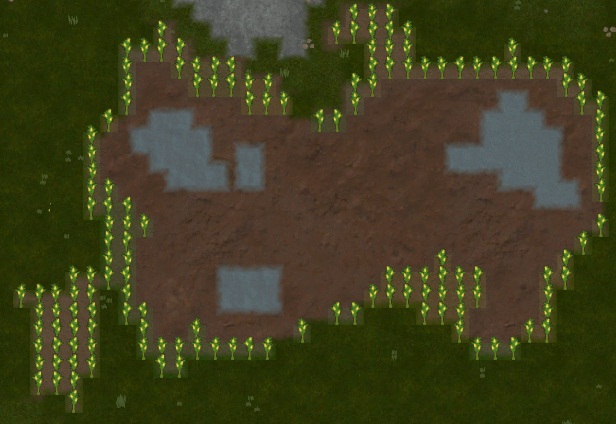 Фермерство в RimWorld