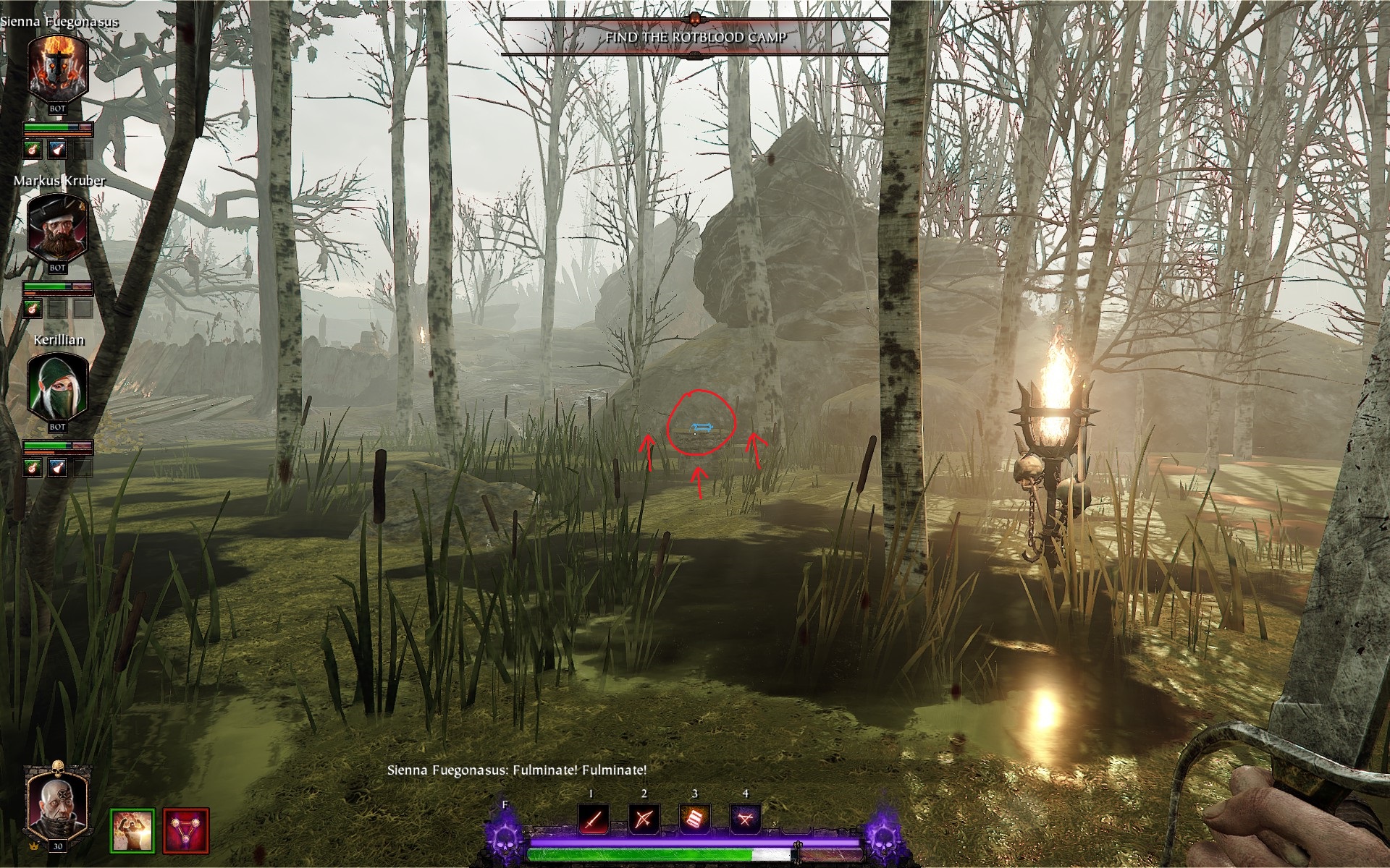 Все тома и гримуары из Warhammer: Vermintide 2