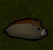 Фермерство в RimWorld