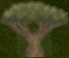 Фермерство в RimWorld