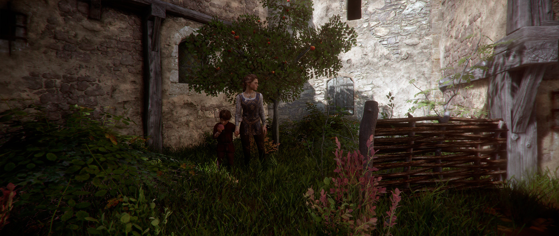 Достижения и все коллекционные предметы в A Plague Tale: Innocence