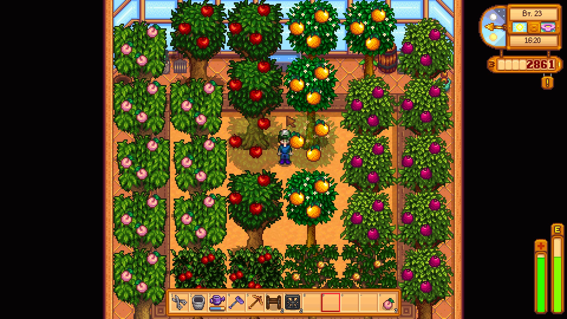 Экономия времени или что может пойти не так? Stardew Valley