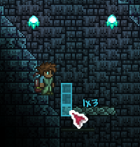 Как легко убить Хранителя Данжа в Terraria