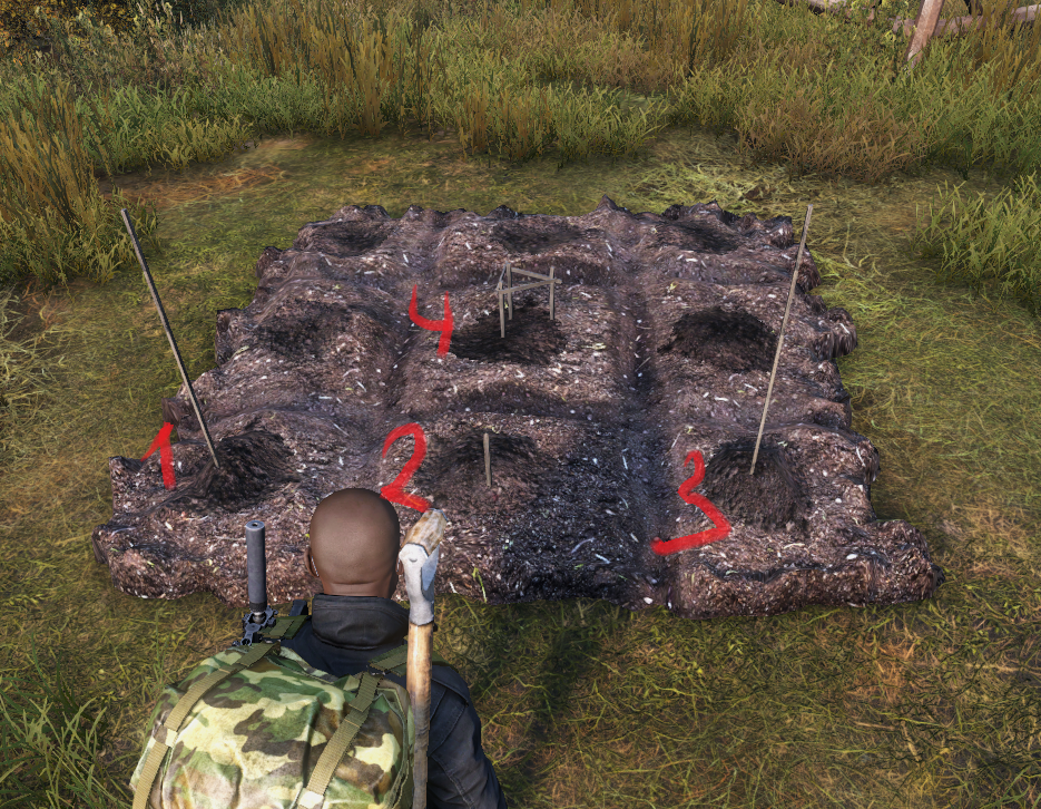 Сажаем в dayz