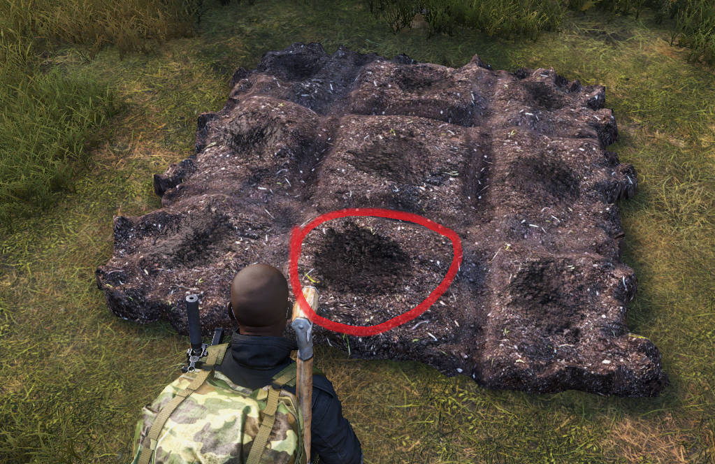 Сажаем в dayz