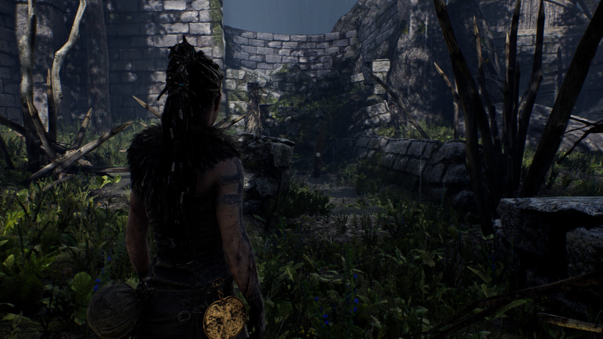 Все Камни Знаний в Hellblade: Senua's Sacrifice
